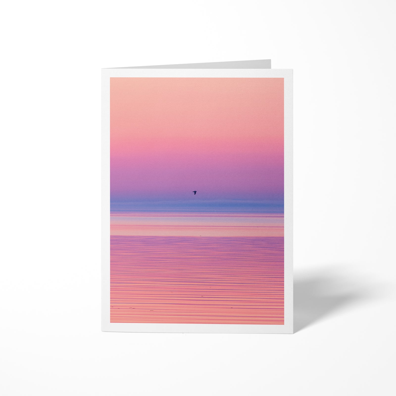 In flight at sunset - Greeting Card