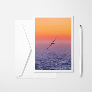 Fou au sunset - Carte de souhaits