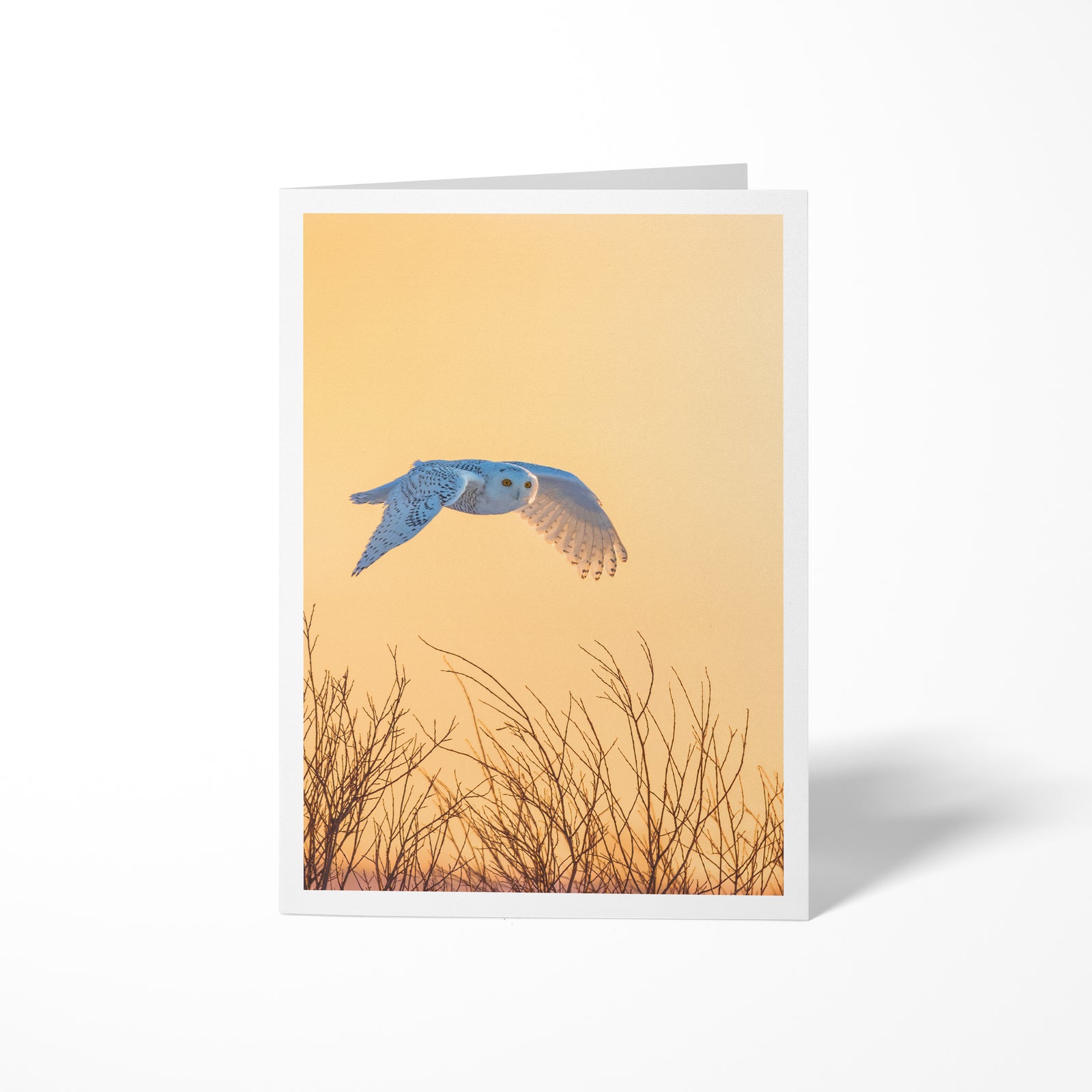 The golden flight - Greeting card