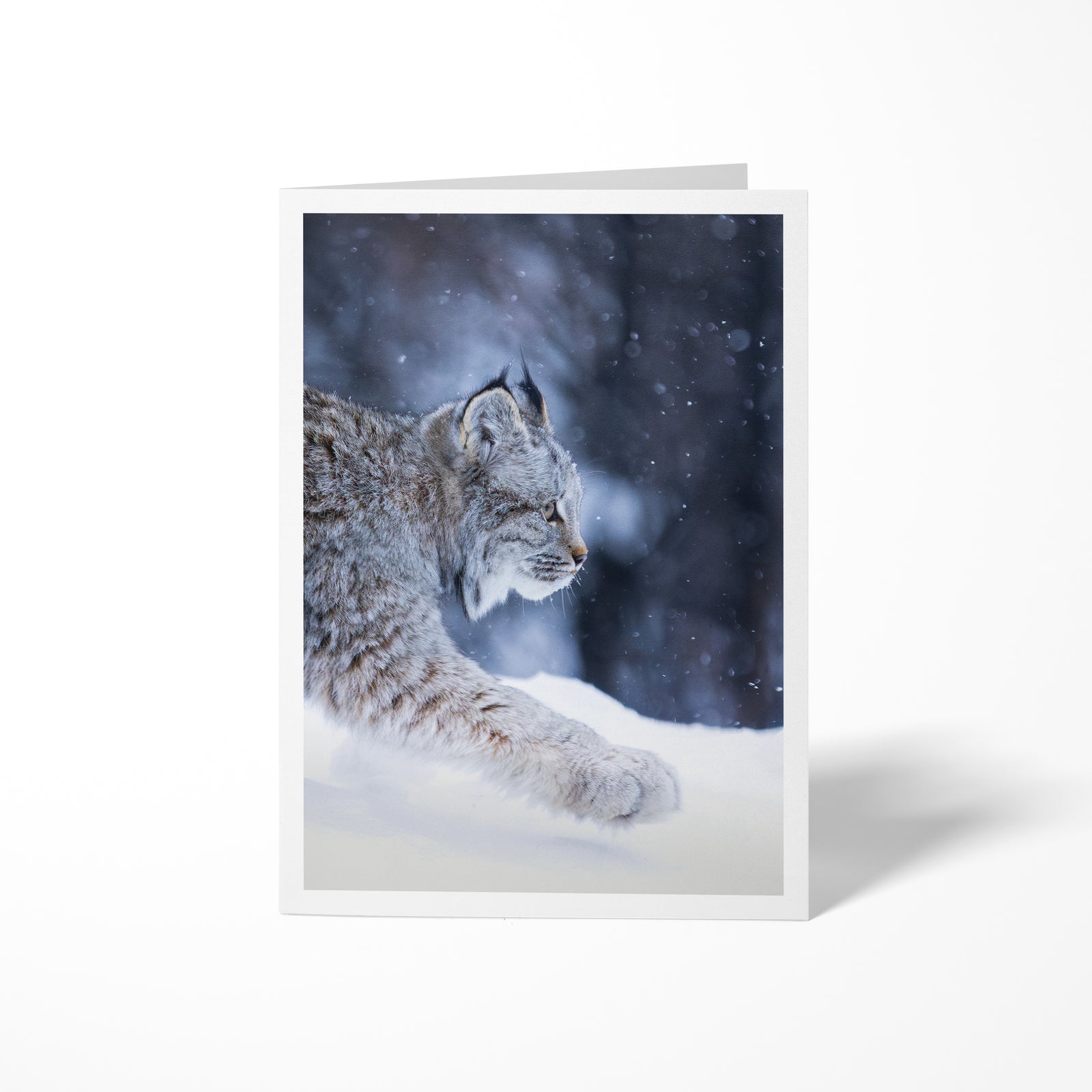 The paw - Greeting card