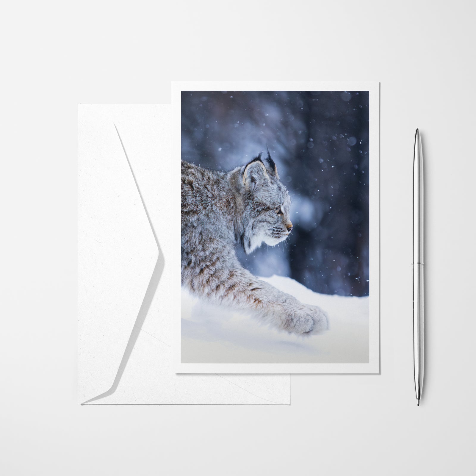 The paw - Greeting card