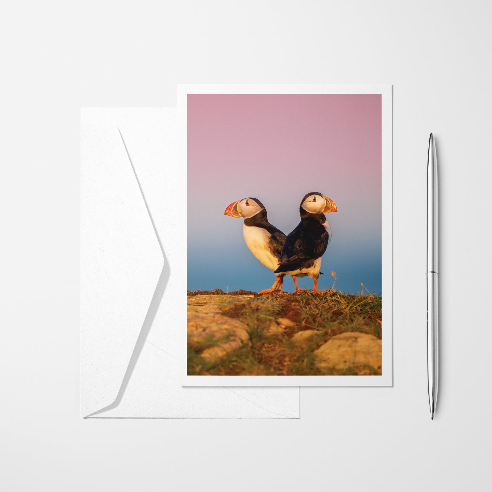 Puffin duo - Greeting Card