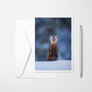 Pine marten under the snow - Greeting card