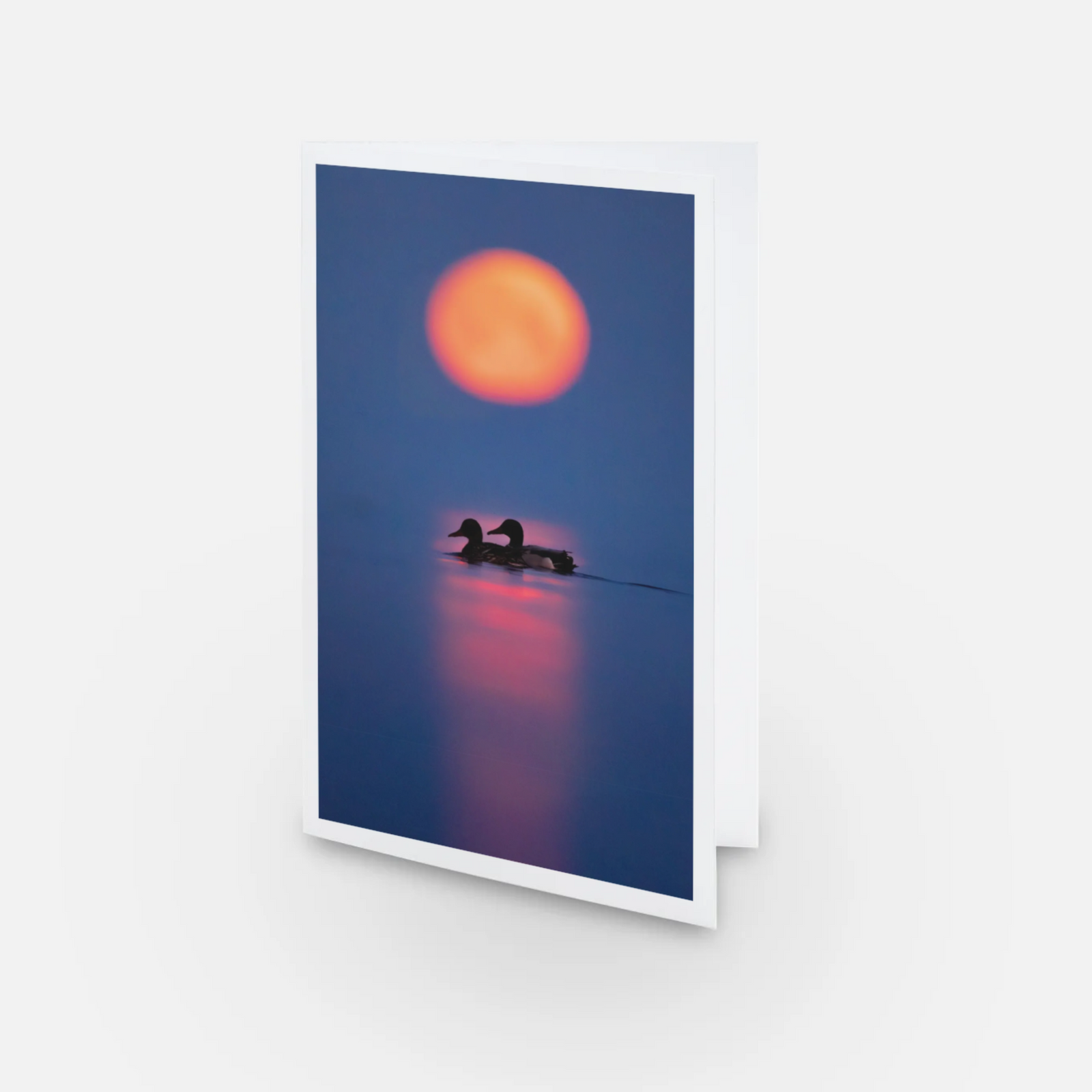Moonset ducks - Greeting card