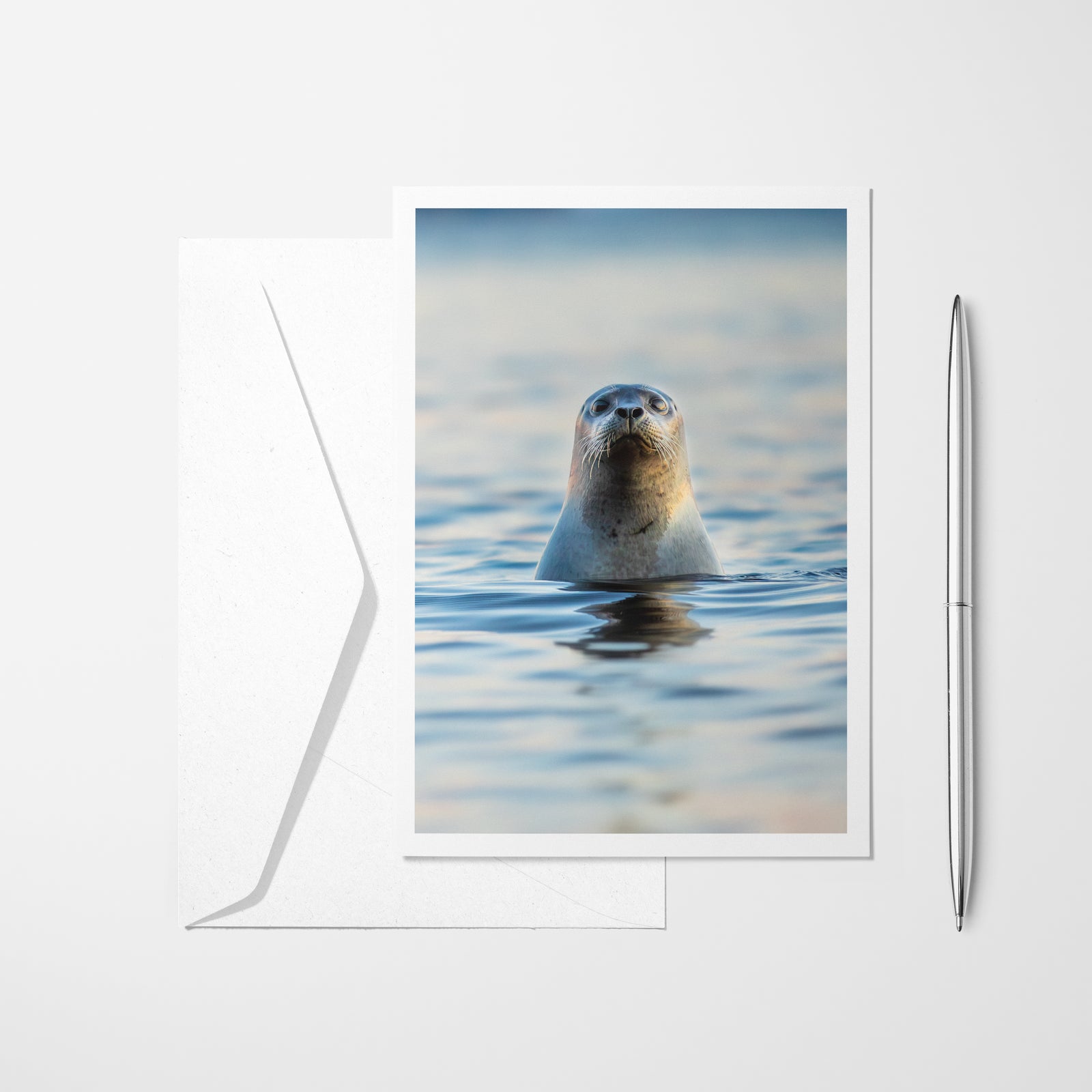 Hello ! - Greeting card