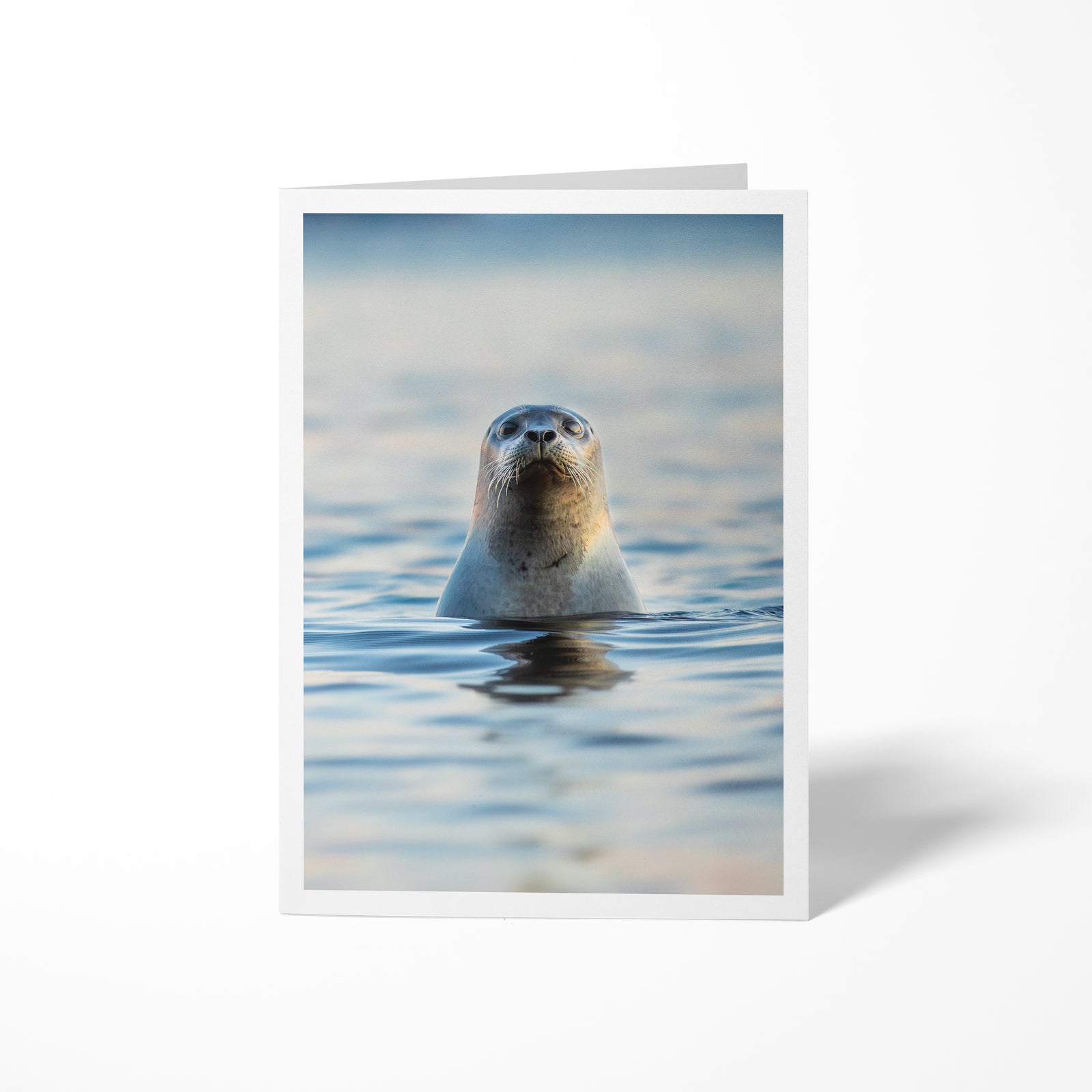 Hello ! - Greeting card
