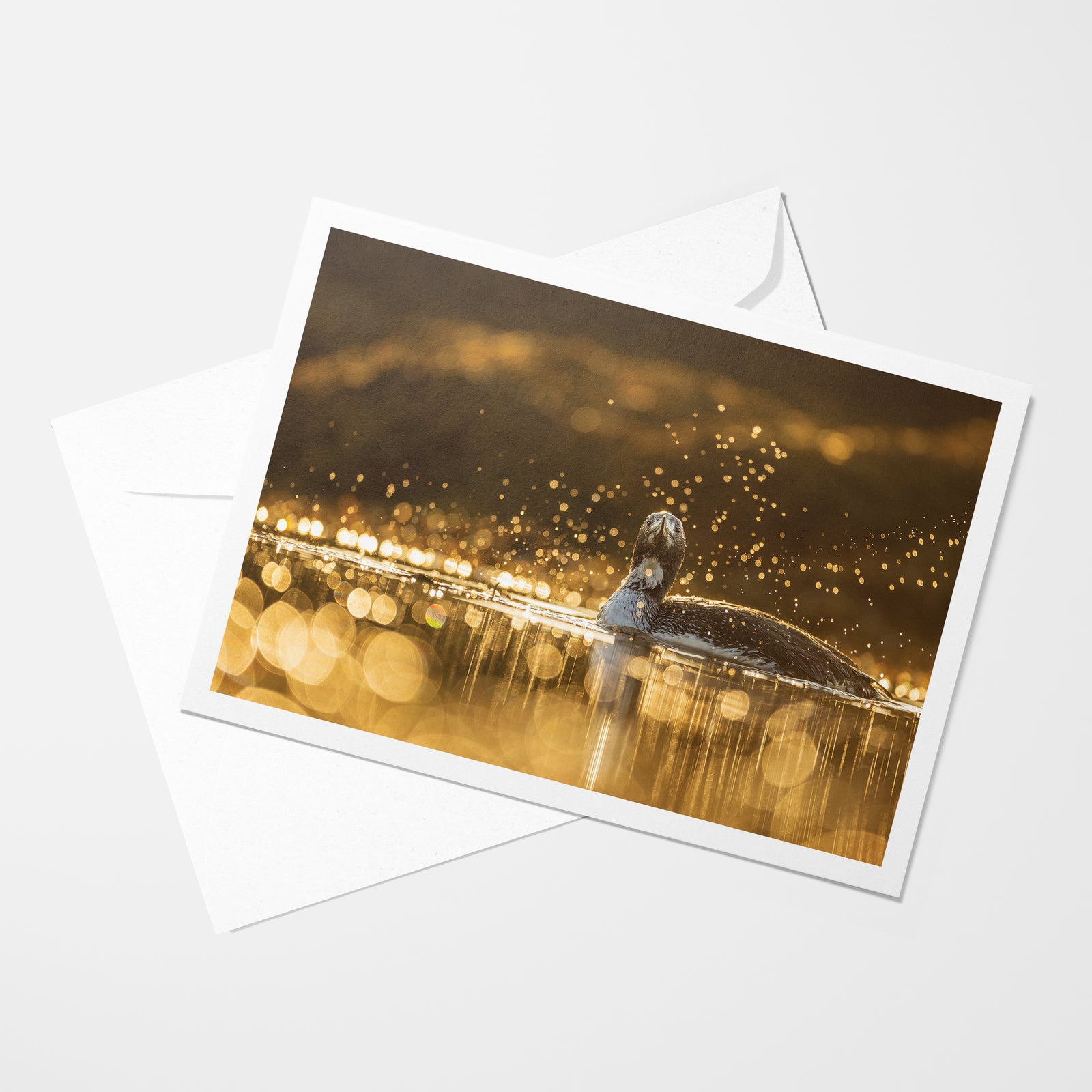 Red Throated Loon - Greeting card