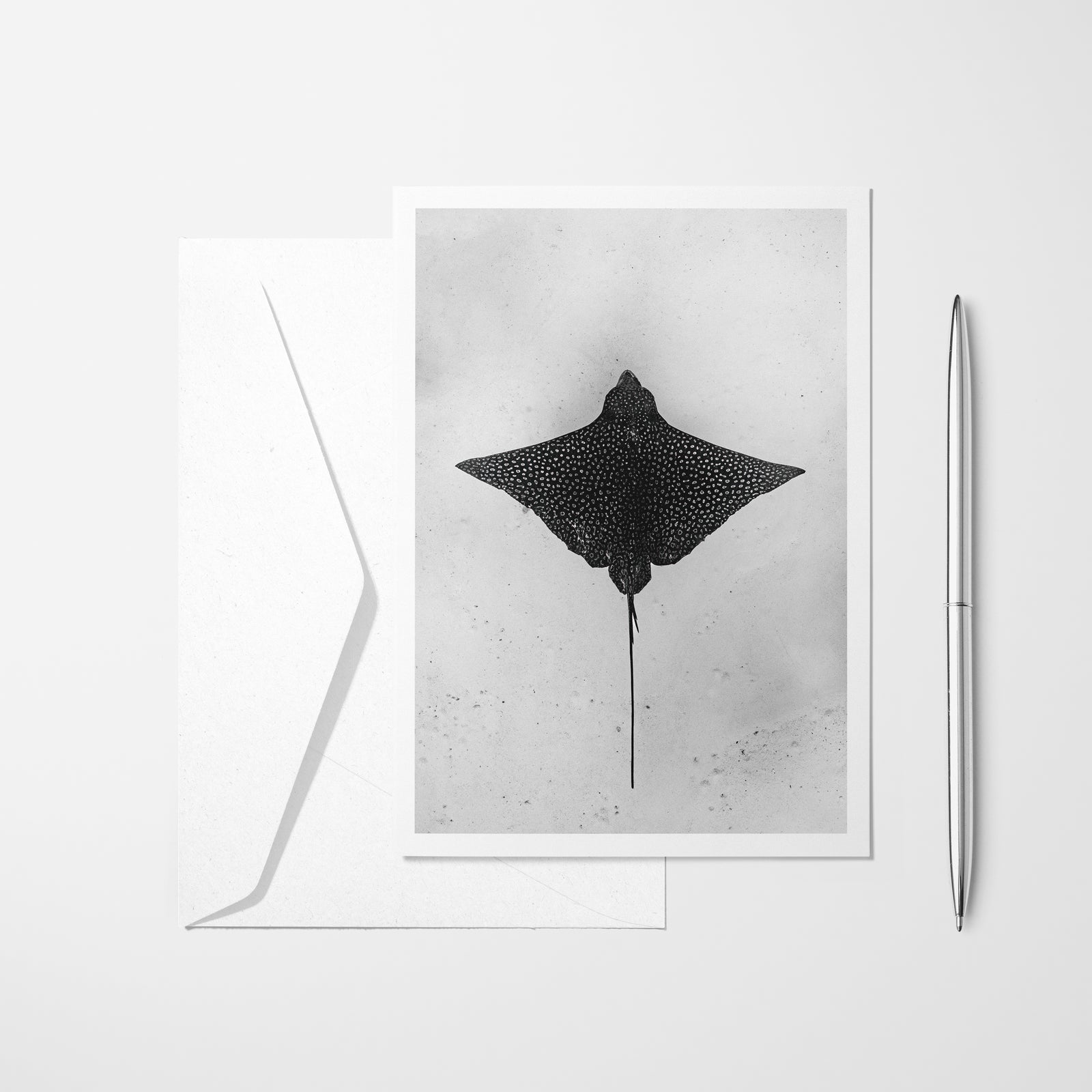Spotted eagle ray - greeting card