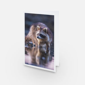 Ensemble de cartes de souhaits (5) - Faune