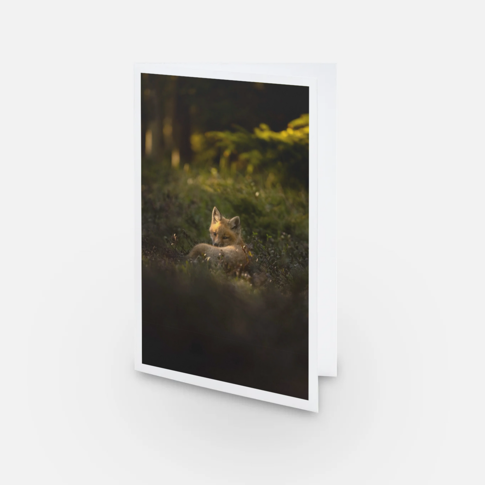 Ray of light - Greeting card