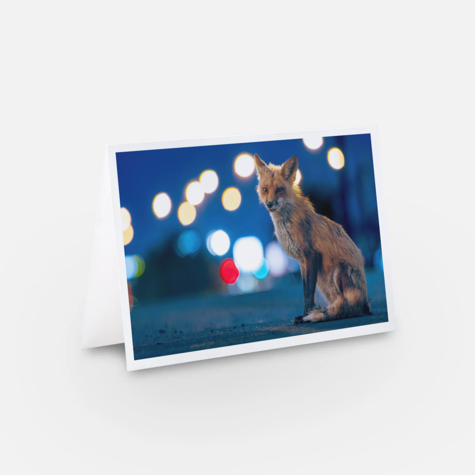 Urban fox - Greeting card