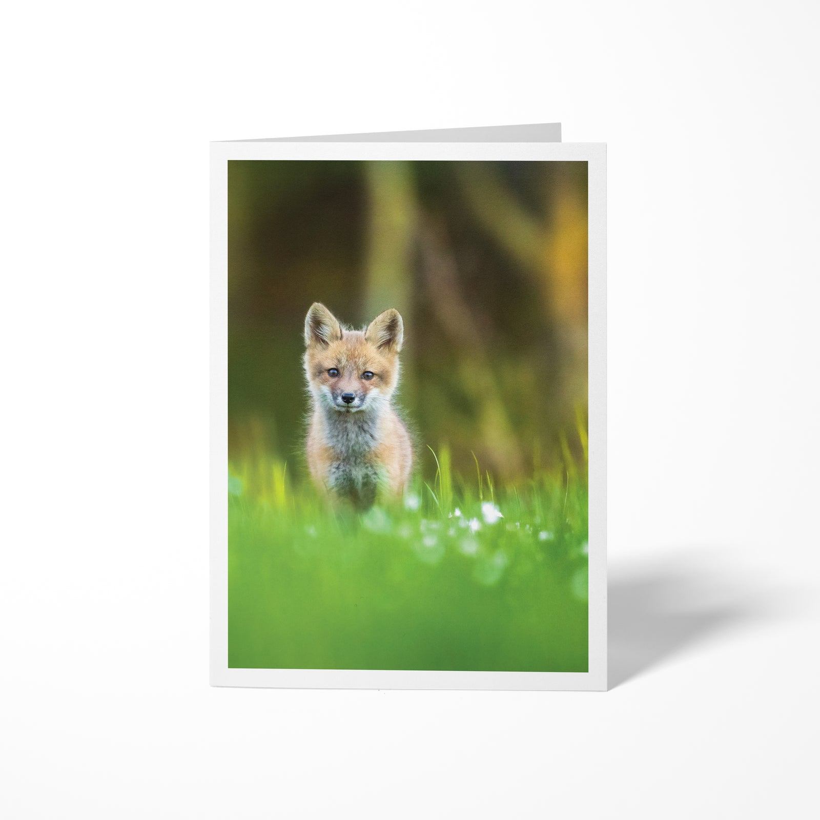 Fox cub in the flowers - Greeting Card
