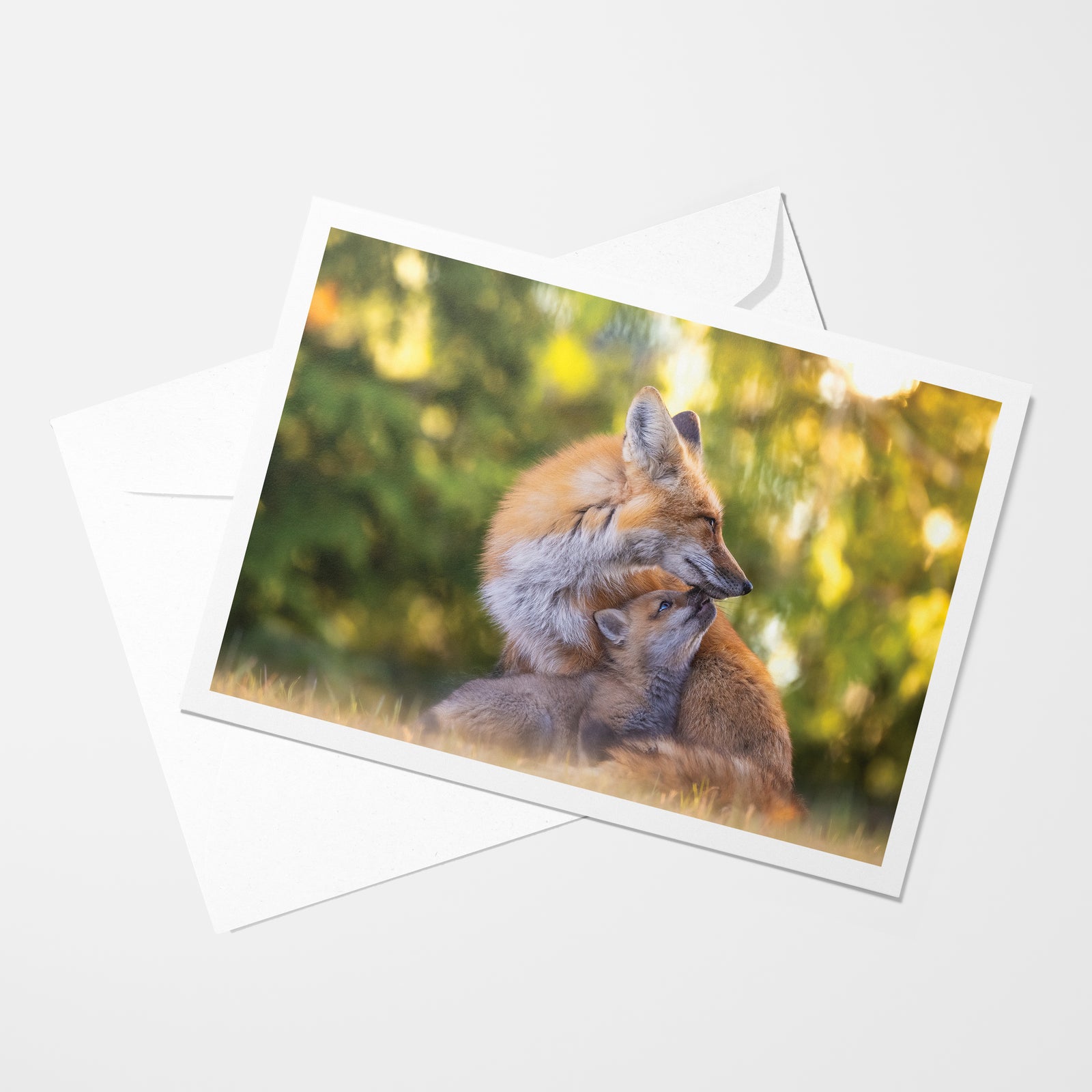 The return of Spring - Greeting Card