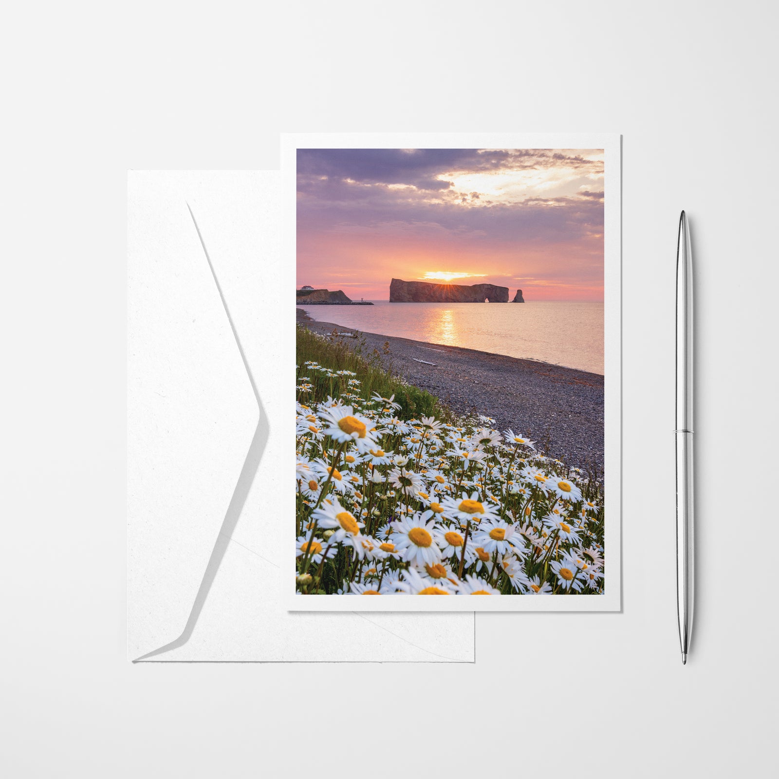 Young deer duo - Greeting card