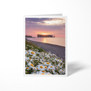 Rocher Percé X Marguerites - Carte de souhaits