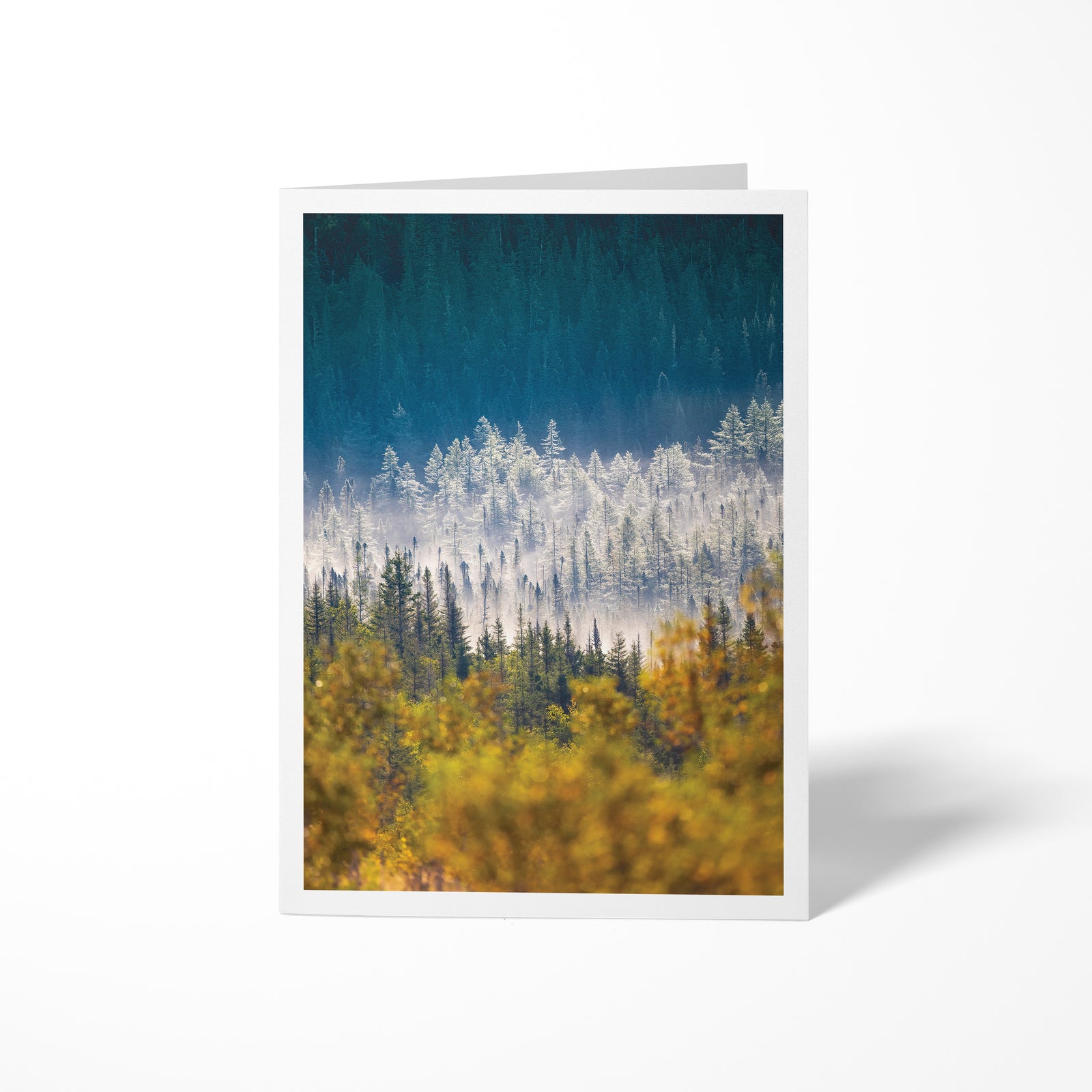 Seasons - Greeting card