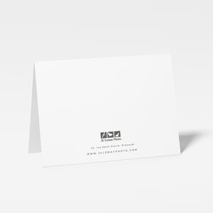 Aurora in Le Bic - Greeting card