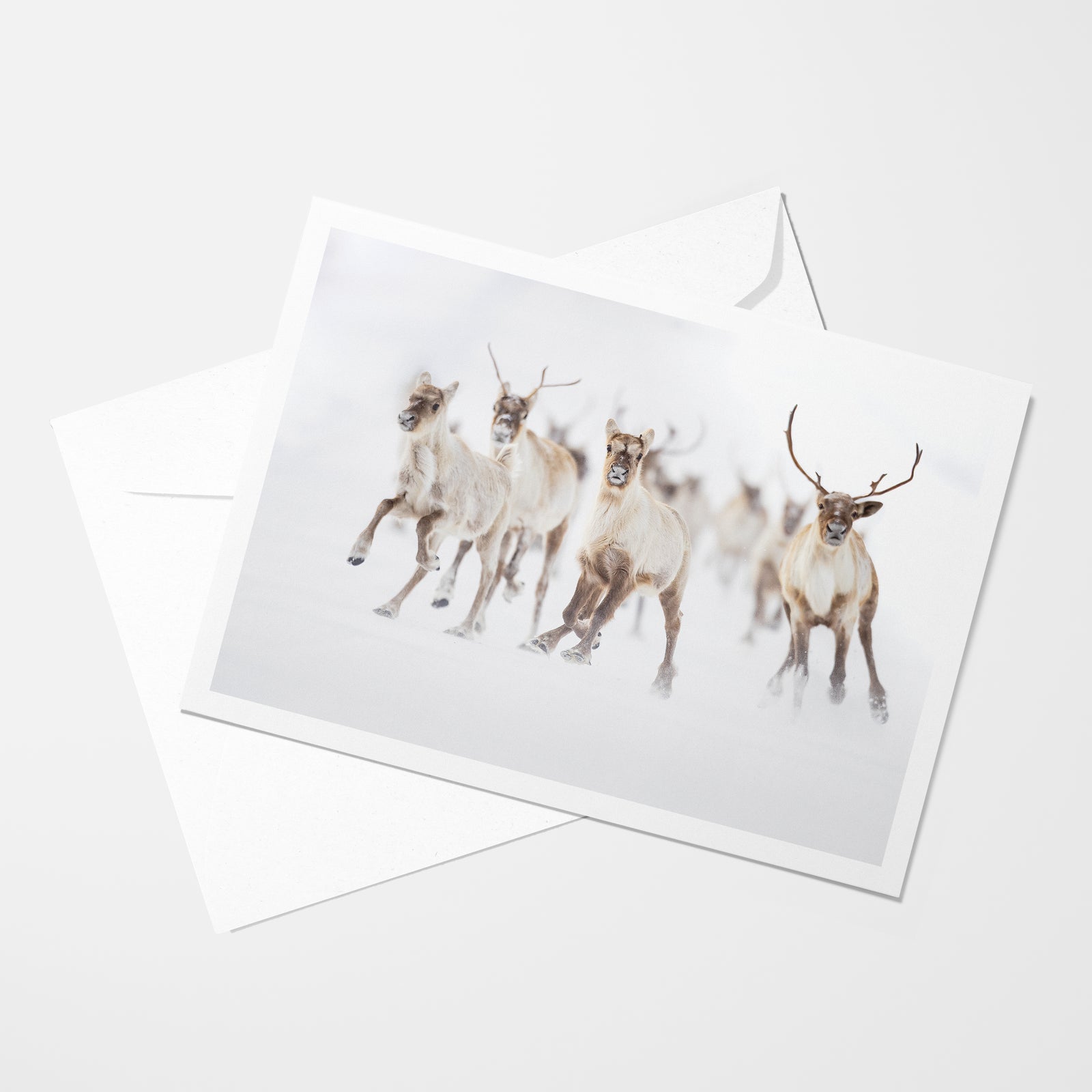 The great run - Greeting card