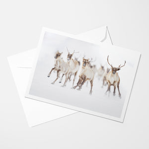 The great run - Greeting card