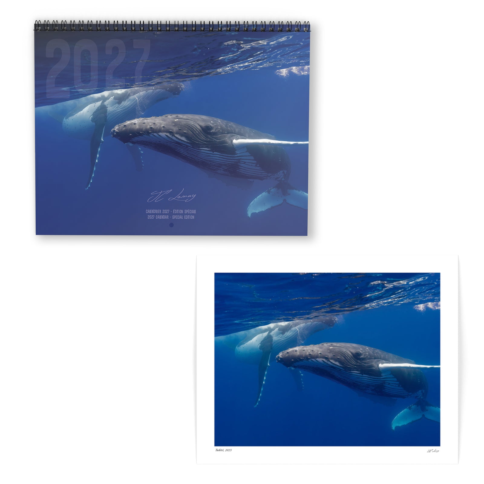 Combo calendrier 2027 Polynésie + Impression 8x10 pouces