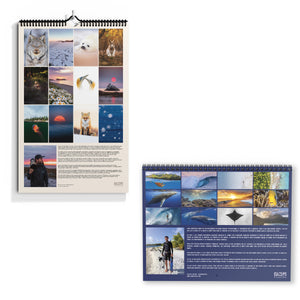 Calendars 2027 combo - limited + special edition