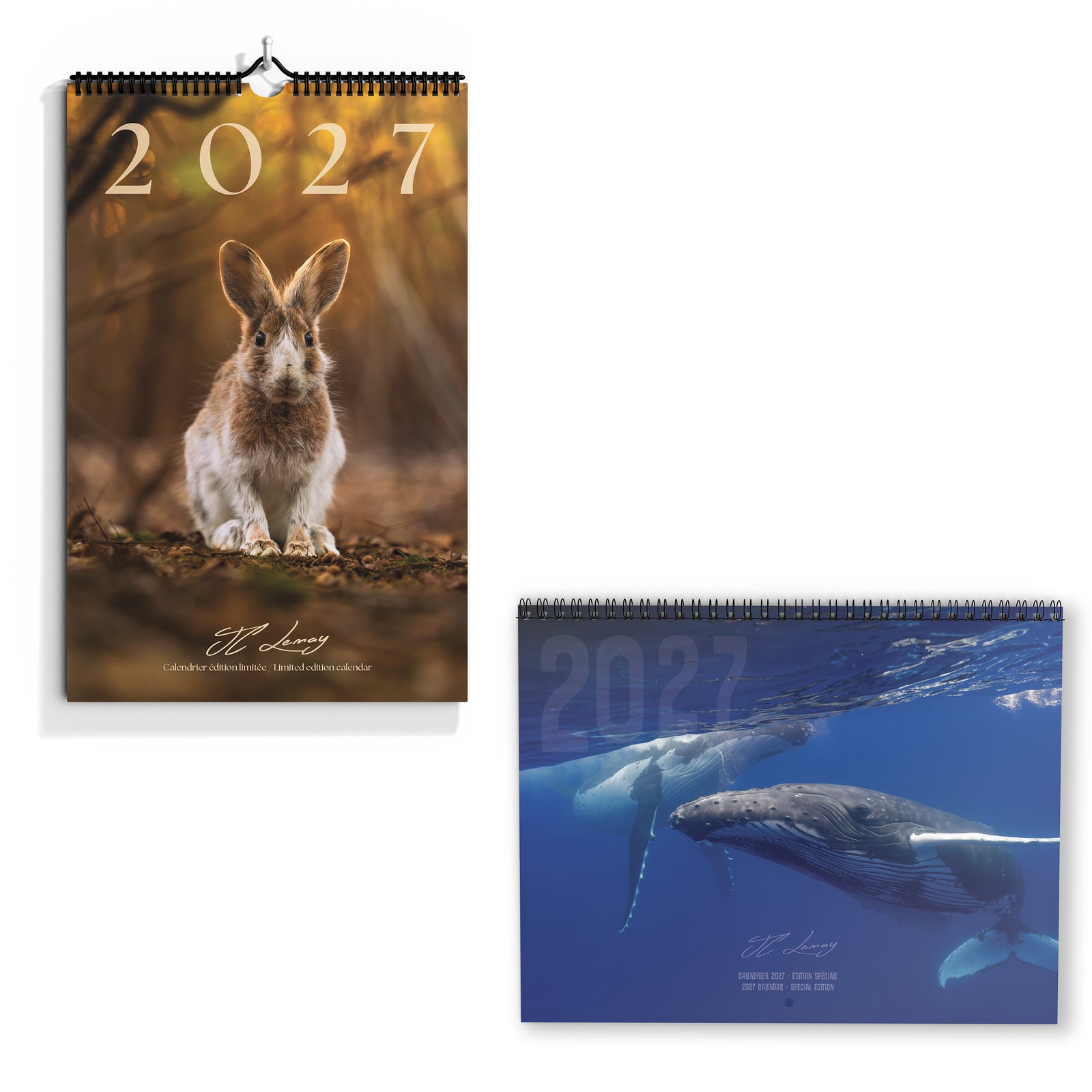 Ensemble calendriers 2027 - limité + spécial