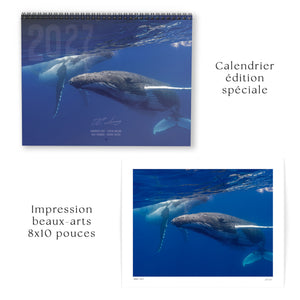 Special edition 2027 calendar + 8x10 inch fine art print combo