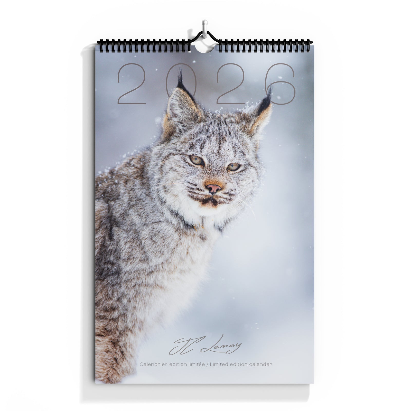 Calendar 2026 - limited edition