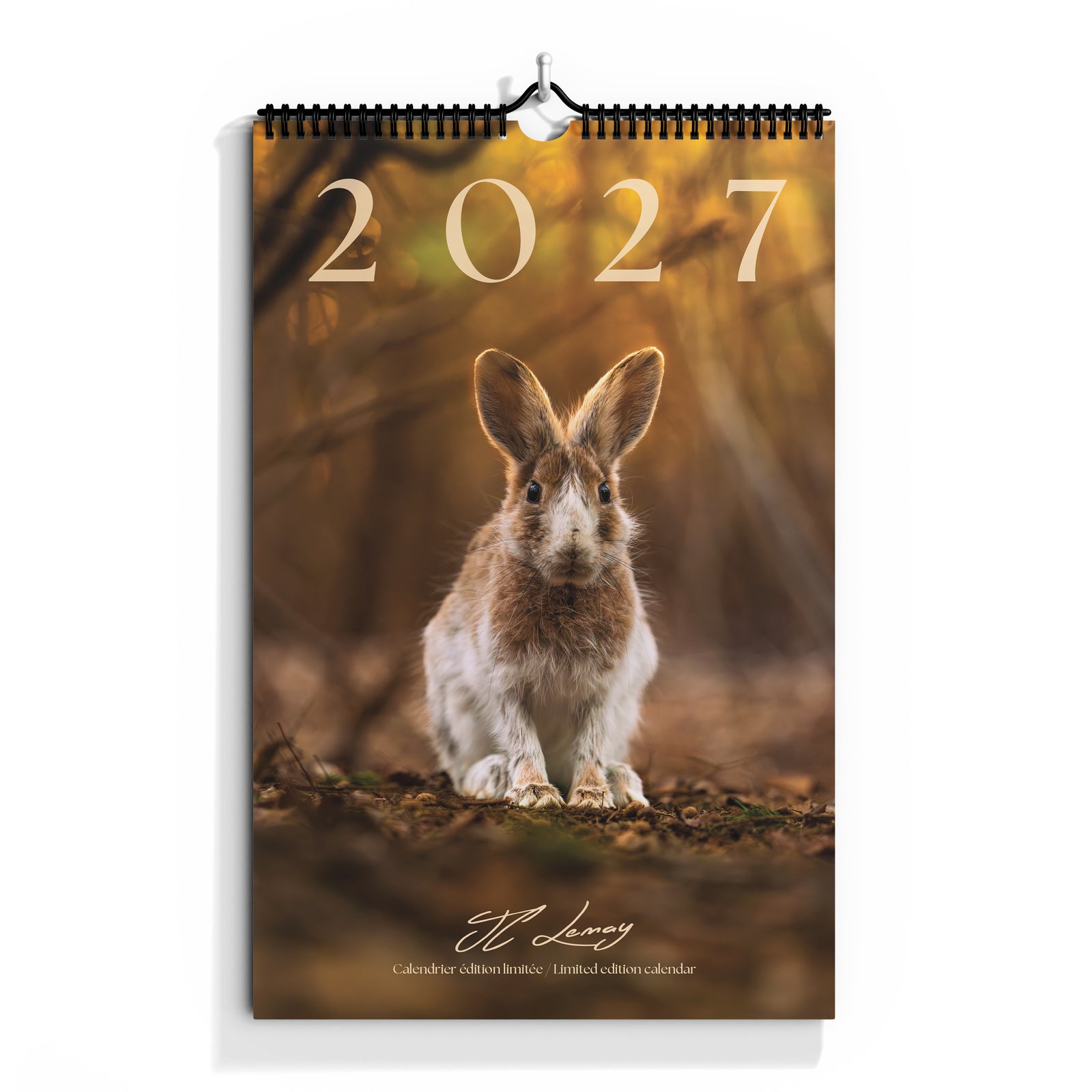 Calendar 2027 - limited edition