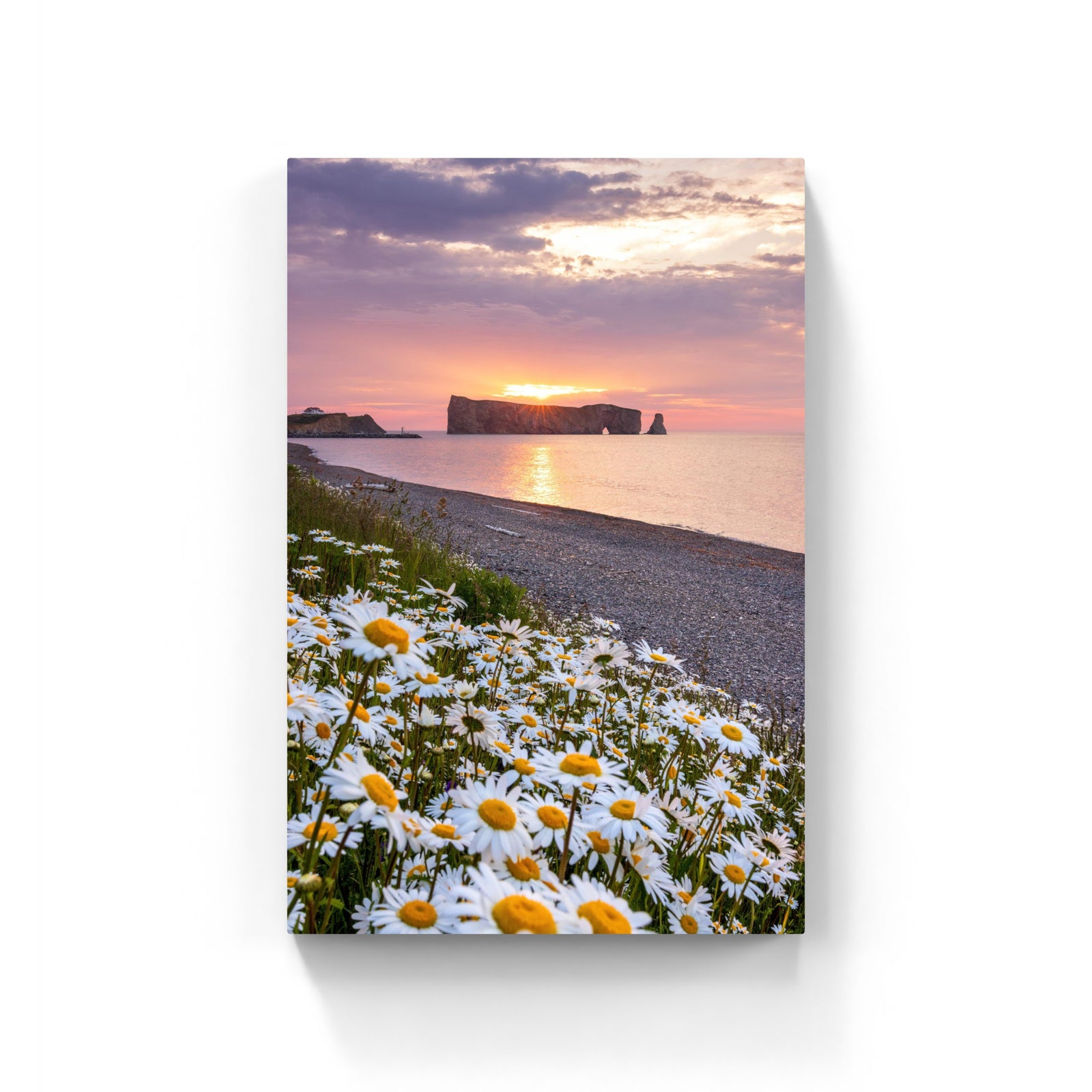 Rocher Percé X Marguerites - Canvas