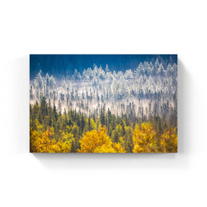 Saisons - Canvas