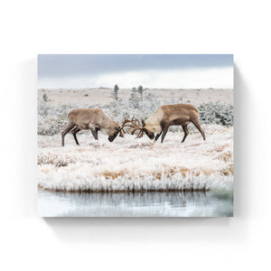 Altercation - Toile