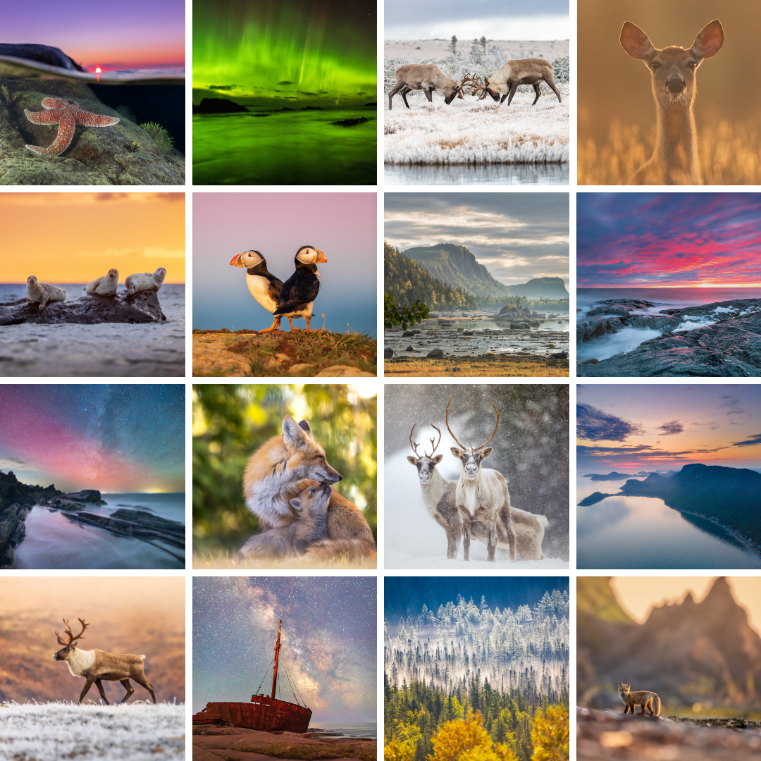 Set of mixed postcards (20)