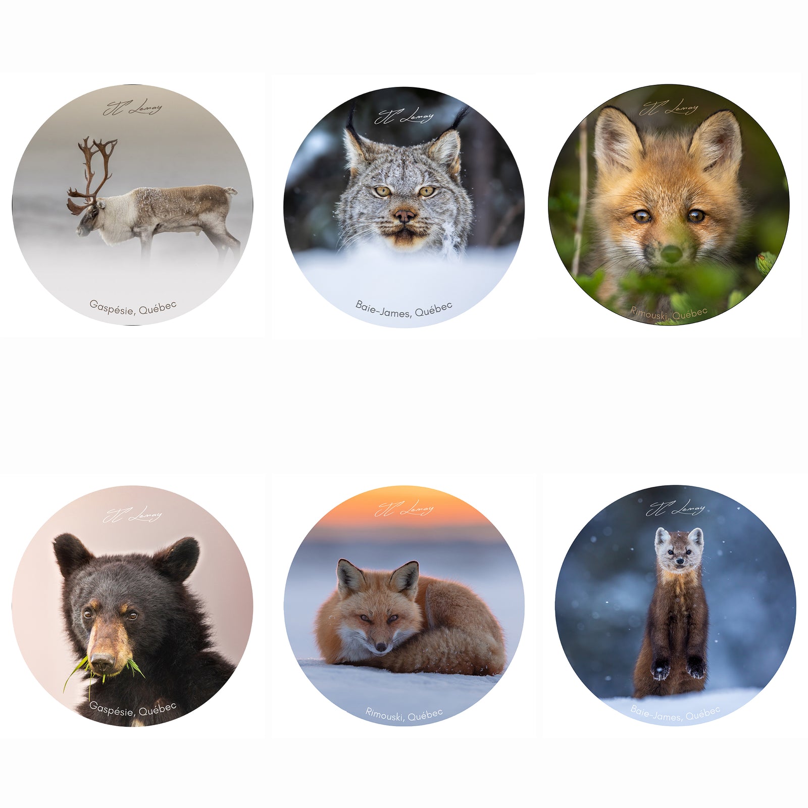 Stickers - Earth set (6)