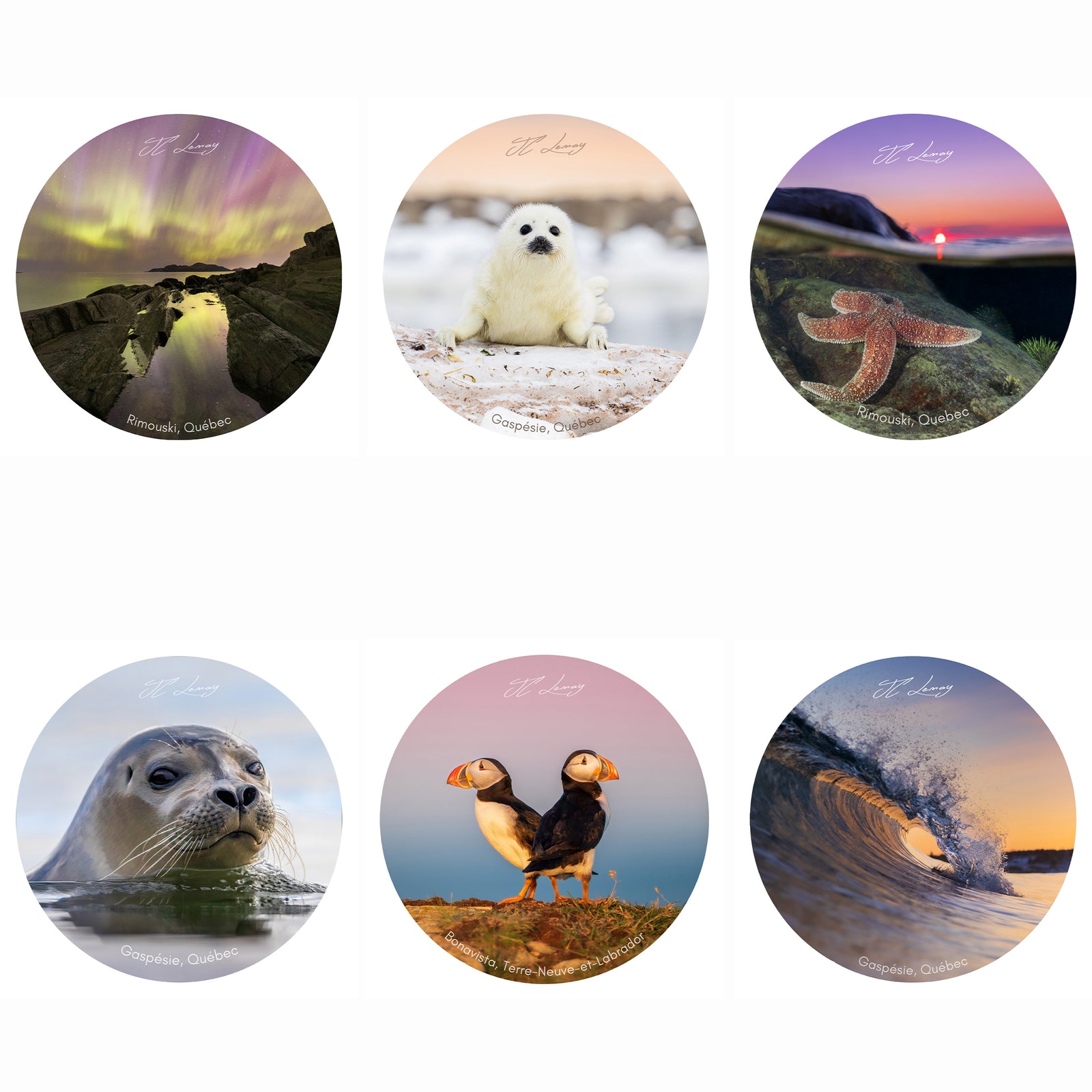 Stickers - Sea set (6)