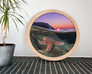 Sunset starfish - cadre rond en bois massif (24 pouces)