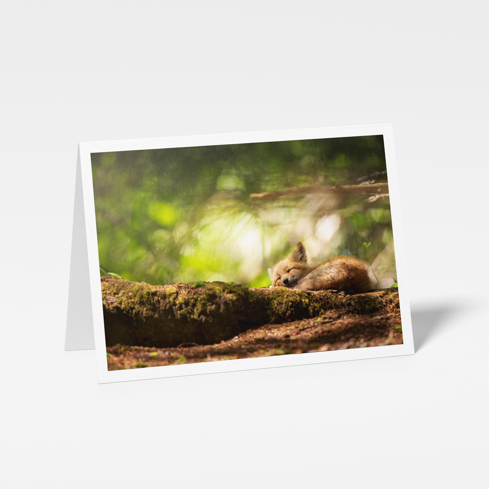 Magical forest - Greeting card
