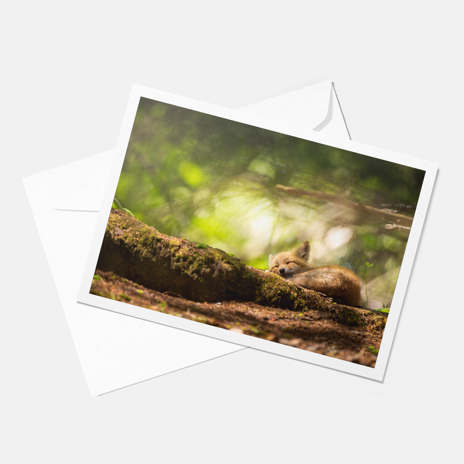 Magical forest - Greeting card