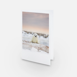 Ensemble de cartes de souhaits (5) - Hiver