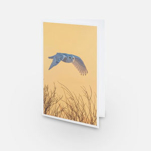 Ensemble de cartes de souhaits (5) - Hiver