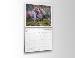 Calendrier 2027 - édition classique