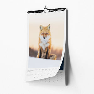 Calendrier 2027 - édition limitée