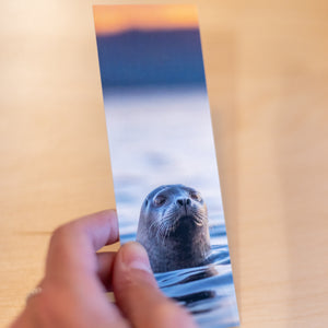 Bookmark - Harbour seal