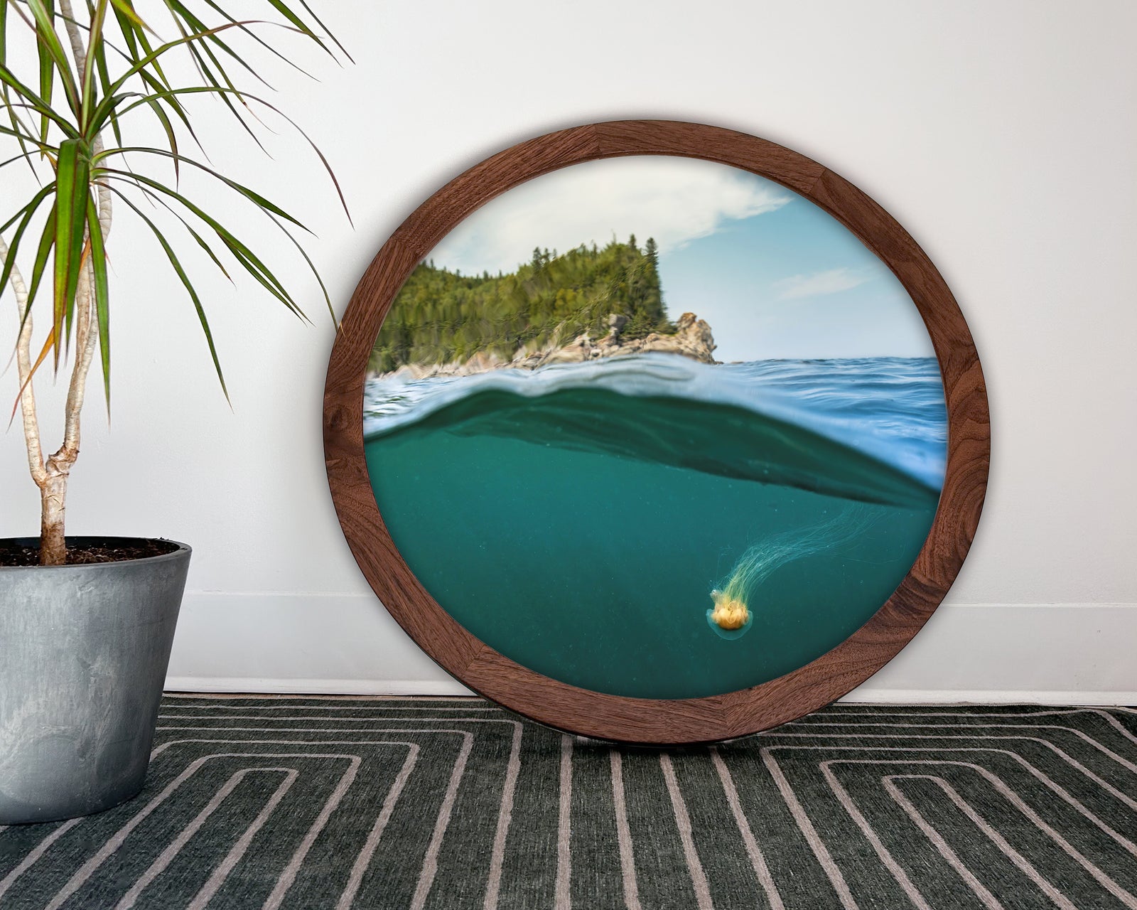 Méduse X Cap - cadre rond en bois massif (24 pouces)