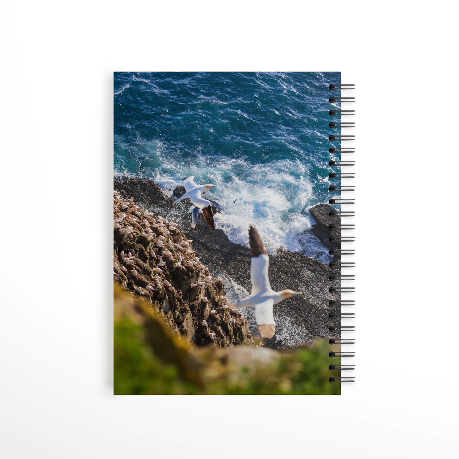 Falaise des Fous - Notebook