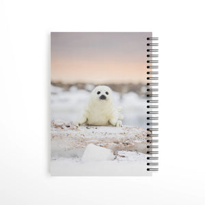 Cahier de notes - Gros yeux noirs