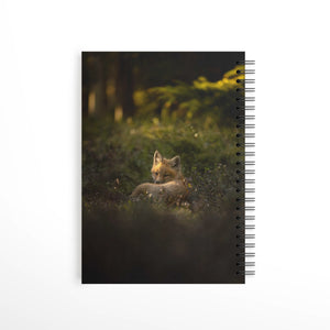 Cahier de notes - Rayon de lumière