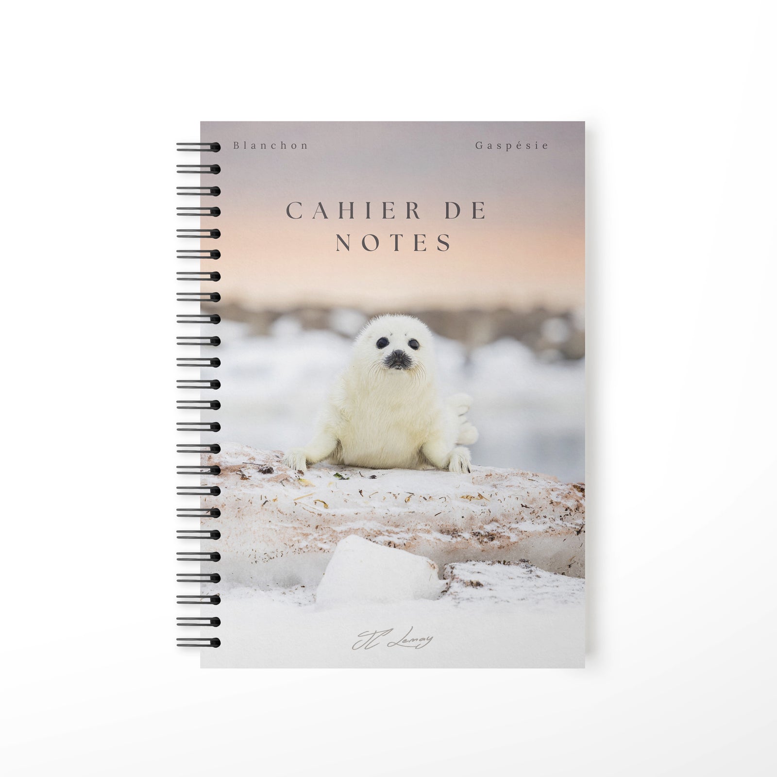 Falaise des Fous - Notebook