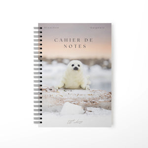 Cahier de notes - Gros yeux noirs