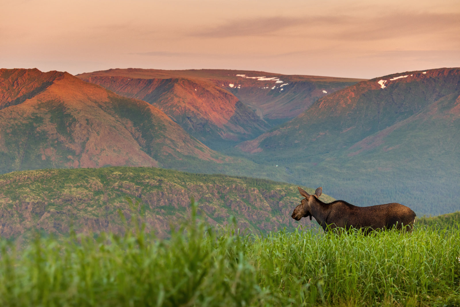 Au sommet, devant Albert